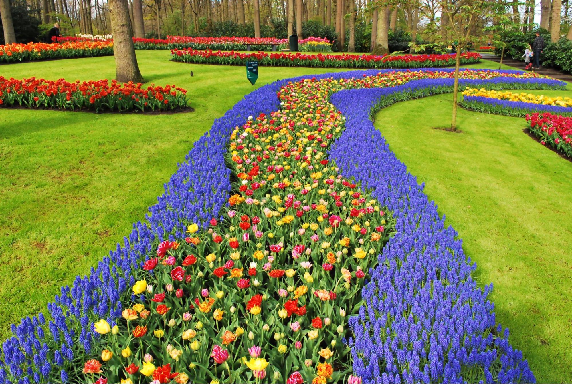 Het Keukenhof - Nederland Het Keukenhof - Nederland